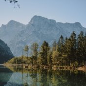 Sonidos Ambientales Relajantes | Yoga, Meditación y Sueño