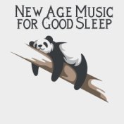 New Age Music for Good Sleep - Collection of Soothing and Gentle Melodies