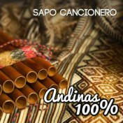 Andinas 100%: Sapo Cancionero