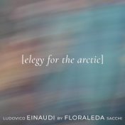 Elegy for the Arctic