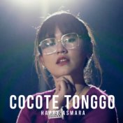 Cocote Tonggo