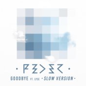 Goodbye (feat. Lyse) (Slow Version)