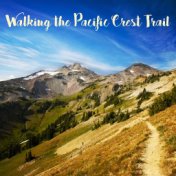 Walking the Pacific Crest Trail