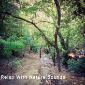 Relax With Nature Sounds