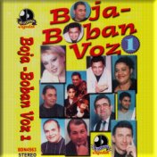 Boja - Boban Voz 1