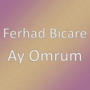 Ferhad Bicare