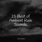 25 Best of Ambient Rain Sounds