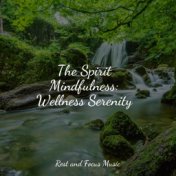 The Spirit Mindfulness: Wellness Serenity