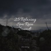 25 Relaxing Spa Rain Sounds