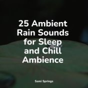 25 Ambient Rain Sounds for Sleep and Chill Ambience