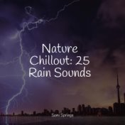 Nature Chillout: 25 Rain Sounds