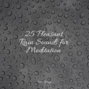 25 Pleasant Rain Sounds for Meditation