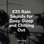 #25 Rain Sounds for Deep Sleep and Chilling Out