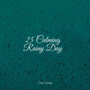 25 Calming Rainy Day