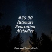 #30 30 Ultimate Relaxation Melodies