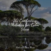 30 Comforting Melodies for Calm Sleep