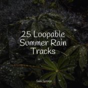 25 Loopable Summer Rain Tracks