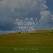 35 Calming Melodies for Relaxing Meditation