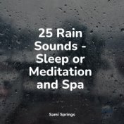 25 Rain Sounds - Sleep or Meditation and Spa