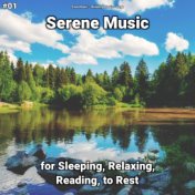 #01 Serene Music for Sleeping, Relaxing, Reading, to Rest