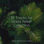 35 Tracks for Stress Relief Collection