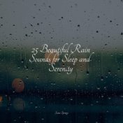 25 Beautiful Rain Sounds for Sleep and Serenity