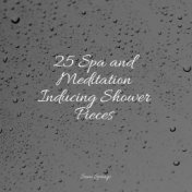 25 Spa and Meditation Inducing Shower Pieces