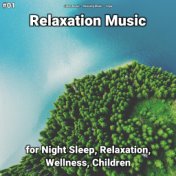 #01 Relaxation Music for Night Sleep, Relaxation, Wellness, Children