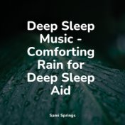Deep Sleep Music - Comforting Rain for Deep Sleep Aid