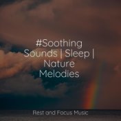 #Soothing Sounds | Sleep | Nature Melodies