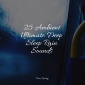25 Ambient Ultimate Deep Sleep Rain Sounds