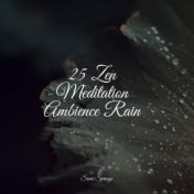 25 Zen Meditation Ambience Rain