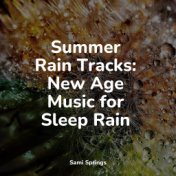 Summer Rain Tracks: New Age Music for Sleep Rain