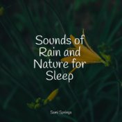 Sounds of Rain and Nature for Sleep