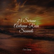 25 Serene Autumn Rain Sounds