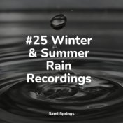 #25 Winter & Summer Rain Recordings