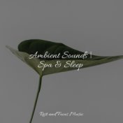 Ambient Sounds | Spa & Sleep