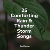 25 Comforting Rain & Thunder Storm Songs