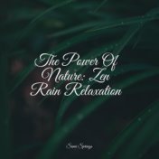 The Power Of Nature: Zen Rain Relaxation