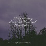 35 Comforting Songs for Sleep and Mindfulness