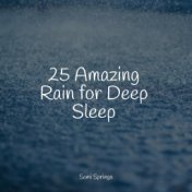 25 Amazing Rain for Deep Sleep
