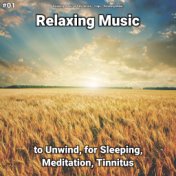 #01 Relaxing Music to Unwind, for Sleeping, Meditation, Tinnitus