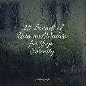 25 Sounds of Rain and Nature for Yoga Serenity