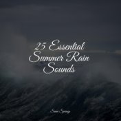 25 Essential Summer Rain Sounds