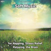 #01 Soft Music for Napping, Stress Relief, Relaxing, the Brain