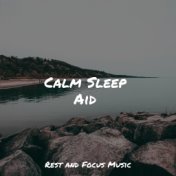 Calm Sleep Aid