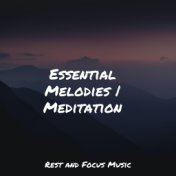 Essential Melodies | Meditation