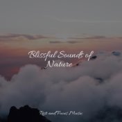 Blissful Sounds of Nature