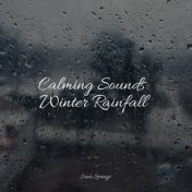 Calming Sounds: Winter Rainfall