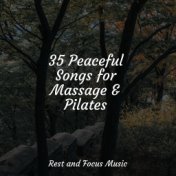 35 Peaceful Songs for Massage & Pilates
